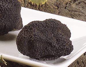 Truffe noire