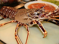 Lobster Stew Preparation