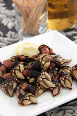 Percebes