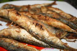 Sardinas